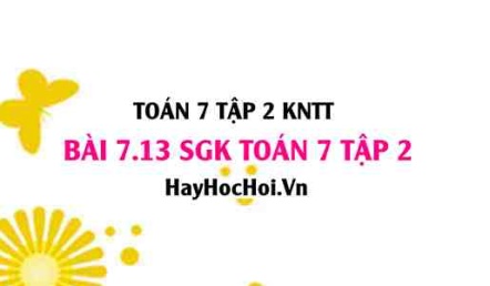 Bài 7.13 SGK Toán 7 tập 2 Kết nối tri thức